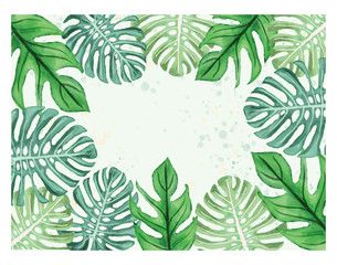Watercolor illustration of tropical leaves monstera leaves border frame