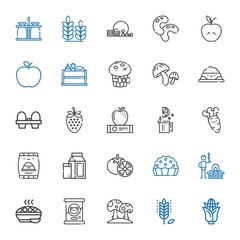 nutrition icons set