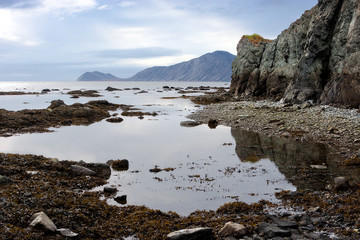 Low tide in the Bay of the Cross (Kresta Bay) near Cape Dangerous (Opasnyi). On the rocky promontory visible trail of water. In shallow water algae. Bering Sea, Chukotka, Far East of Russia.