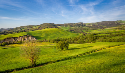 Fototapeta na wymiar Toscana Val d'Orcia fields landscape