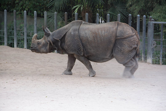 Wilhelma Tiere Pflanzen fische