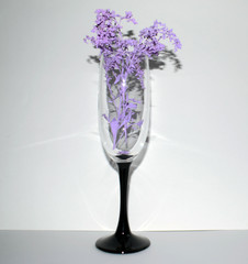 Flower arrangement. Lilac branch in the glass.