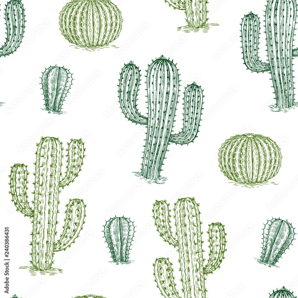 Poster seamless pattern with cactus. hand drawn desert plants cactuses repeat vector texture. illustration 