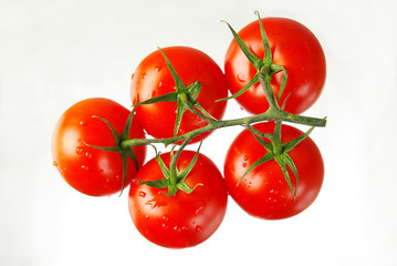 A branch of red tomatoes isolated on white
