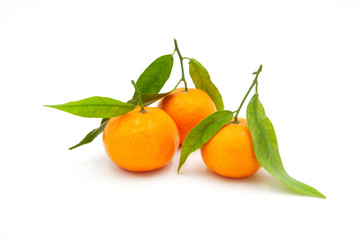 tres mandarinas con hojas con fondo blanco