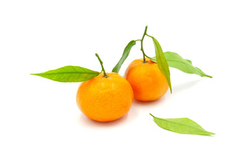 dos mandarinas con hojas con fondo blanco