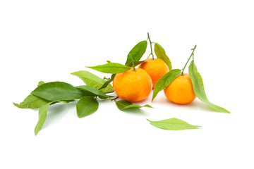 tres mandarinas con hojas en fondo blanco
