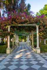 A park with a walkway covered with blooming flowers.