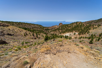 Fototapeta na wymiar The southern slopes and lava fields of the Teide volcano. Tenerife. Canary Islands. Spain.