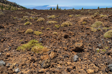 The lava fields of Teide volcano. Tenerife. Canary Islands. Spain.