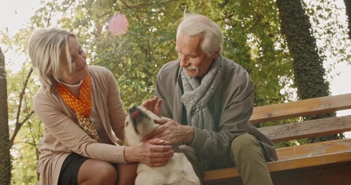 Peinsioner caucasian couple sitting on bench in fall garden, caressing theit cheerful golden retriever dog, and smiling - retirement, american dream concept 4k