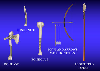 Realistic 3d Set Bone fighting weapon