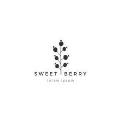 Vector hand drawn feminine logo template. Branch with leaves and berries.