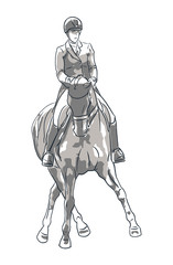 Equestrian sport. A sketch of a dressage rider on a horse executing the shoulder in.	