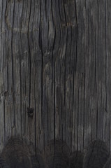 texture - cut old wood