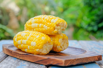 The steamed corn of the pearl corn is distinguished by the yellow and white kernels.