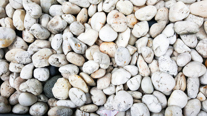 White pebbles stone texture or background in the daylight