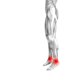 Conceptual ankle human anatomy with red hot spot inflammation or articular joint pain for leg health care therapy or sport muscle concepts. 3D illustration man arthritis or bone osteoporosis disease