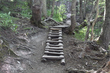 Rustic  wooden  staircase