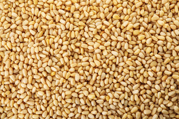 Pile of pine nuts as background, top view
