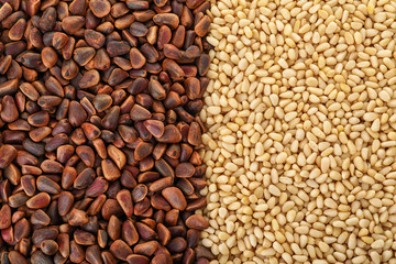Pile of pine nuts as background, top view