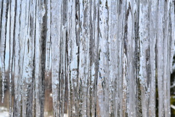 icicles.