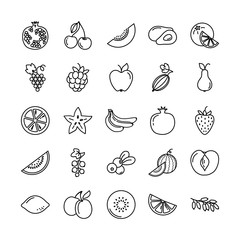 Set of fruits icons illustration background in isolated vector. Perfectly suitable for revision or use for printing in books, publishing on websites.