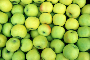 fresh fruit background of green apples. Apples for sale.