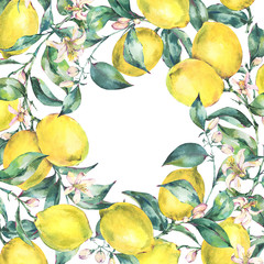 Watercolor vintage greeting card, branch of yellow fruit lemon