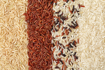 Brown and other types of rice as background, closeup