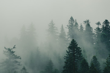 Obraz premium Mglisty krajobraz górski