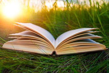 the book on the grass. reading, recreation, education, literature.