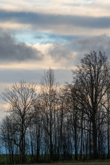 Fototapeta na wymiar Bäume und Wolken