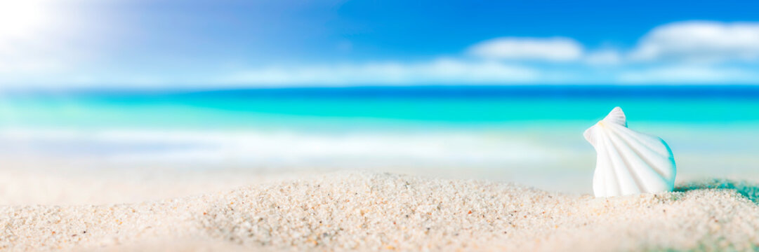 Seashell On Sandy Beach With Tropical Water, Sun, Blue Sky And Fluffy White Clouds - Beach Holiday Concept 