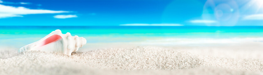 Seashell On White Sand Seashore With Tropical Water, Blue sky, White Clouds, And Sunshine With bokeh