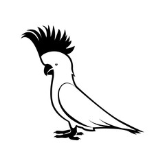 Vector image of a cockatoo parrot black and white on an isolated white background