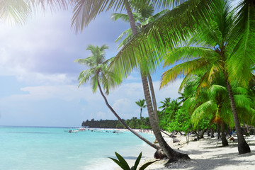 Tropical beach, turquoise sea, white sand and palm trees - obrazy, fototapety, plakaty