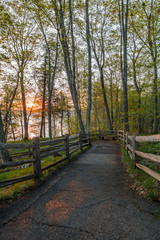 Morning walk on a fenced path through trees to the lake