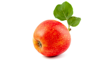 red Apple with leaves isolated on white background