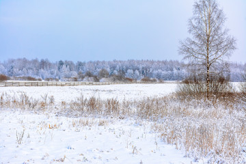 Snow-covered field in the countryside. A wooden fence of farmland.