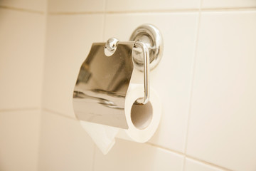 Toilet paper in the toilet
