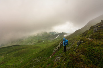 A beautiful summer evening in the Ukrainian Carpathian Mountains, covered with flowering rhododendron with millions of magic flowers, covered around.