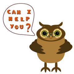 Clever owl on white background 