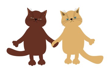 Pair of nice cats together