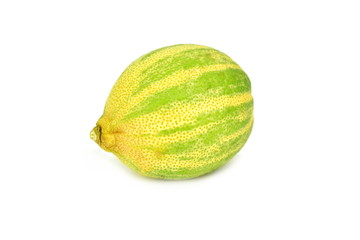 pink tiger lemon - fruit