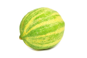 pink tiger lemon - fruit