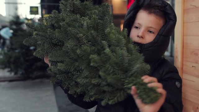 One little kid boy holding christmas tree. Happy children in winter clothes carrying and buying christmas tree in outdoor shop. Family, tradition, celebration concept - Image