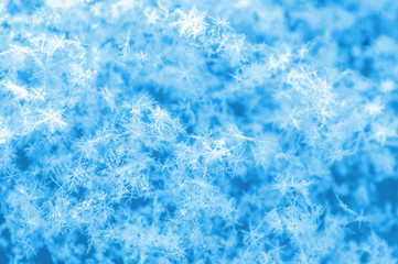 Surface texture of freshly fallen snow, macro.
