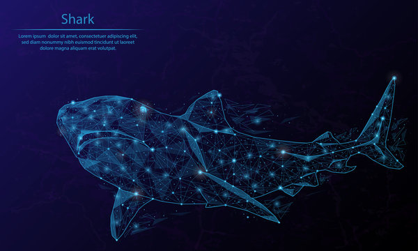 Abstract image of a shark in the form of a constellation. Consisting of lines and dots.