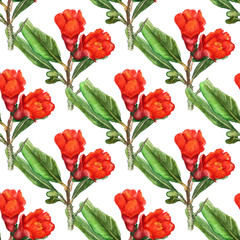 Seamless pattern with flowers of pomegranate